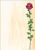Sigel Designpapier Rosenblüte DIN A4 90 g/m2 Farbig sortiert 25 Blatt