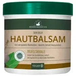 TEUFELSKRALLEN BALSAM Herbamedicus 250 ml