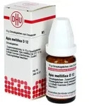 APIS MELLIFICA D 12 Globuli 10 g