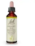 BACHBL&Uuml;TEN Chestnut Bud Tropfen 20 ml