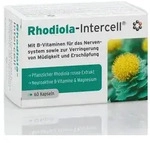 RHODIOLA-INTERCELL Kapseln 60 St
