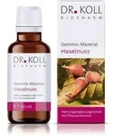 GEMMO-MAZERAT Haselnuss Dr.Koll Corylus avell.Tro. 50 ml