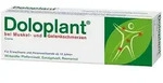 DOLOPLANT bei Muskel- und Gelenkschmerzen Creme 100 g