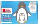 KALT-WARM Kompresse 8,5x14,5 cm f&uuml;r Kinder 1 St