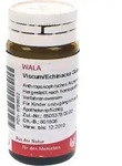 VISCUM ECHINACEA Globuli 20 g
