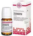 HARPAGOPHYTUM PROCUMBENS D 6 Tabletten 80 St