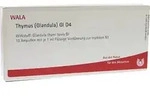 THYMUS GLANDULA GL D 4 Ampullen 10X1 ml