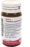 GLANDULA SUPRARENALIS dextra cum Cupro Globuli 20 g