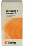 SYNERGON KOMPLEX 53 Abrotanum N Tabletten 100 St