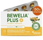 BEWELIA Plus Weichkapseln 60 St