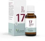 BIOCHEMIE Pfl&uuml;ger 17 Manganum sulfuricum D 12 Gl. 15 g