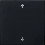 GIRA Wippe Schwarz 5389005 1 St.