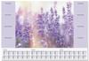 Sigel HO308 Schreibunterlage Fragrant Lavender 3-Jahreskalender Lila (B x H) 59.5 cm