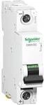 Schneider Electric A9N61502 A9N61502 Leitungsschutzschalter 2 A 250 V/DC