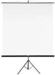hama 00021573 Leinwand mit Stativ, 180 x 180 cm, 2in1, mobiles Set, Teleskoprohr,