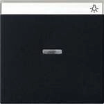 GIRA Wippe Schwarz 0670005 1 St.