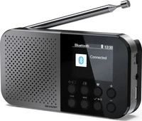 SHARP DR-P520, Sharp DR-P520 (GY) Outdoorradio FM, DAB Bluetooth Akku-Ladefunktion,