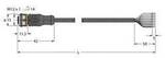 Turck 6625130 Sensor-/Aktor-Anschlussleitung 2 m Polzahl Sensoren: 8 1 St.