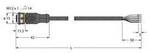 Turck 6629770 Sensor-/Aktor-Anschlussleitung 5 m Polzahl Sensoren: 5 1 St.