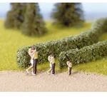 NOCH 21524 Hecke 10 mm Dunkelgr&uuml;n