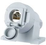 Metz Connect Netzwerkdose Aufputz CAT 6a 1 Port Lichtgrau 1309410003-E