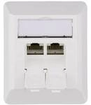 Teleg&auml;rtner Netzwerkdose Aufputz CAT 6a 2 Port Alpinwei&szlig; 100023002