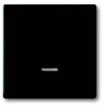 Busch-Jaeger 6543-885-101 2CKA006599A2968 Eingangsmodul mit Taster (B x H) 63 mm x 63