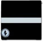 Busch-Jaeger Abdeckung Allwetter 44 (IP44) Anthrazit, Schwarz-Grau 2CKA001710A3794 1