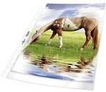 Prospekth&uuml;lle DURABLE 267719