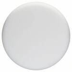 Bosch Accessories 2608612024 Schaumstoffscheibe weich (wei&szlig;), Durchmesser 170 mm