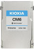 Kioxia CM6-R 960 GB Interne U.2 PCIe NVMe SSD 6.35 cm (2.5 Zoll) U.2 NVMe PCIe...