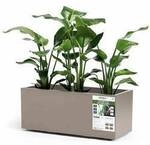 euro3plast Greener KEBE 3154.G9 Pflanzkasten Kunststoff Taupe
