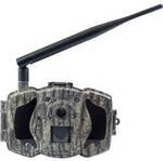 Berger & Schr&ouml;ter MG984G-30M Wildkamera 30 Megapixel Black LEDs, Fernbedienung,