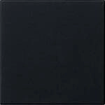 GIRA Wippe Schwarz 5372005 1 St.
