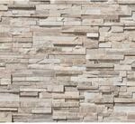 AS-Creation Vliestapete Steinoptik Teilweise Gl&auml;nz. Glatt Beige Braun