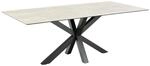 ebuy24 Heaven Esstisch 100x200cm Grau