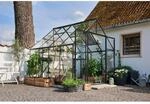 Halls Gew&auml;chshaus Qube 8 Schwarz 6,6 m&sup2;