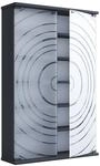 ebuy24 TilanoL Vitrinenschrank CD DVD 6 Ablagen 2 T&uuml;ren Anthrazit
