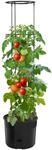vidaXL Tomatentopf Anthrazit 39x150 cm Polypropylen 1357438