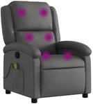 vidaXL Massagesessel Grau Echtleder