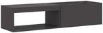 vidaXL Feuerstelle Schwarz 160 x 45 x 35 cm Stahl 859002