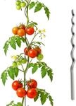 Relaxdays Tomaten Spiralstab Verzinkter Stahl Silber 20er Pack 150 cm