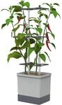 Gusta Garden Chilitopf Charly Chili Pflanzentopf mit Rankhilfe Hellgrau H&ouml;he...