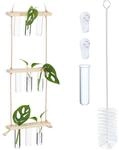 Relaxdays Pflanzen Vermehrungsstation Eichenholz Glas Natur H&auml;ngend 86 cm x 20 cm x