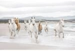 Komar Fototapete White Horses 368 cm x 254 cm FSC&reg;