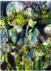 Komar Fototapete Aphrodite ́s Garden184 cm x 254 cm FSC®