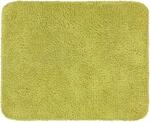 Astra-Kollektion Sauberlaufmatte Entra Saugstark Gr&uuml;n 75 cm x 130 cm