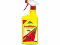 Neudorff Loxiran AF Ameisen-Spray 750 ml