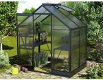 Vitavia Gew&auml;chshaus Apollo 2500 Schwarz 5 m&sup2; inkl. Fundament