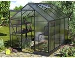 Vitavia Gew&auml;chshaus Apollo 5000 Schwarz 5 m&sup2; inkl. Fundament